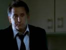 Les photos - FBI port�s disparus